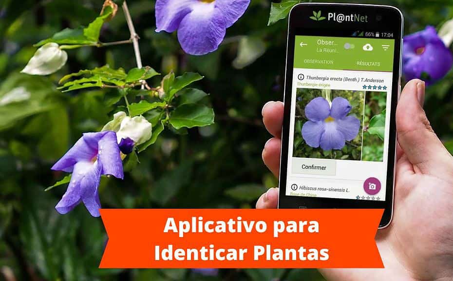 Aplicativo para Identicar Plantas